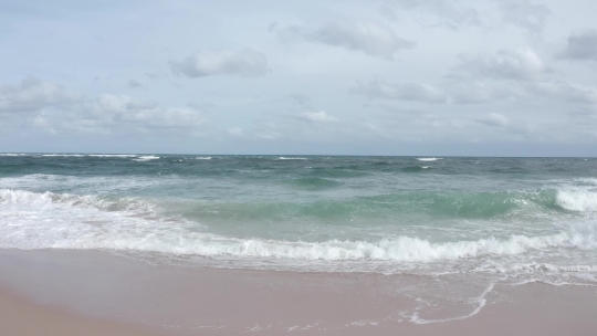 Beach Waves