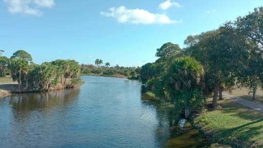 Pelican Dive