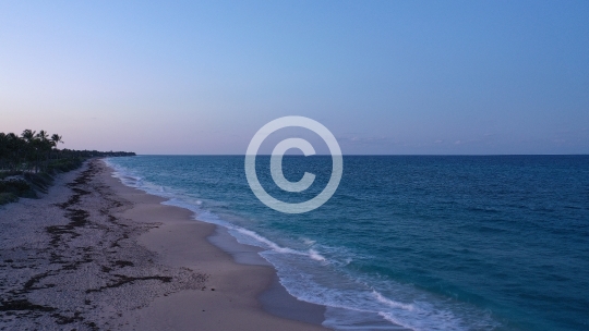 The Beach